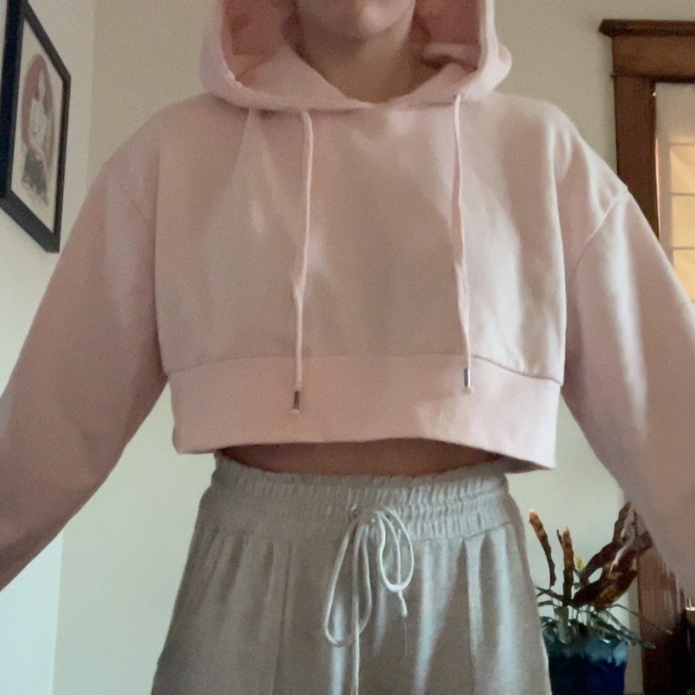 Pink Cropped Sweatshirt - Picture 5 of 5